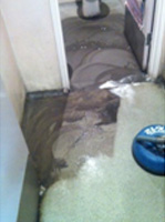 Hard Floor Cleaning on Linoleum