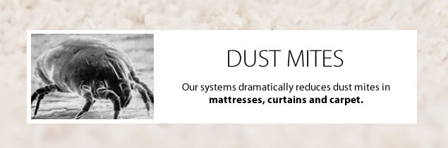 remove-dust-mites-carpet-cleaning